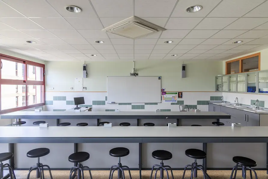 Colegio de Fomento El Vedat: Colegio Concertado en Torrent,Infantil,Primaria,Secundaria,Bachillerato,Inglés,Alemán,Católico,